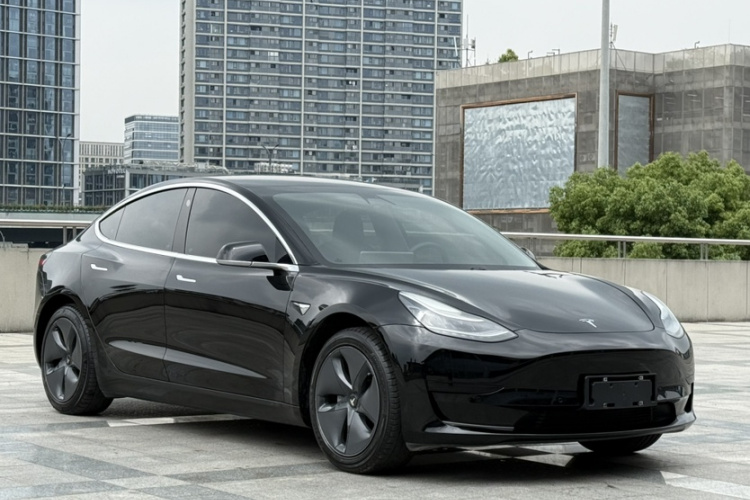 Tesla Model 3 2020 car image #9