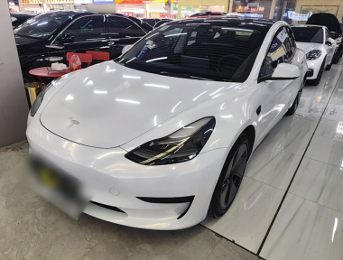Tesla Model 3 2021 Tesla Model 3 2021 car image