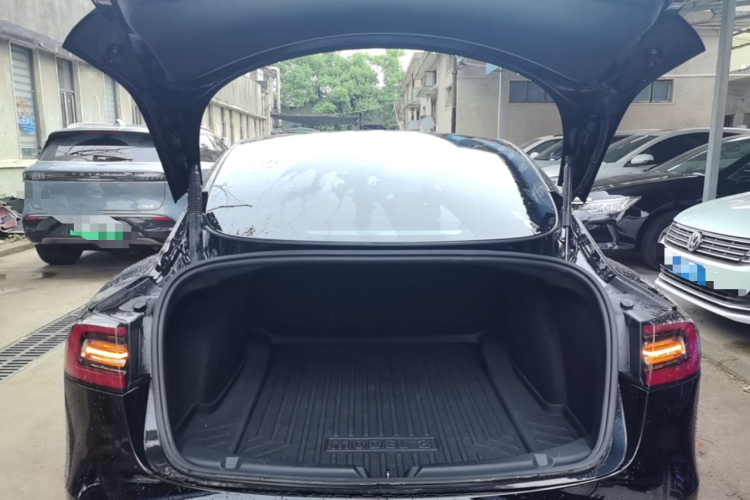 Tesla Model 3 2021 immagine di auto #19