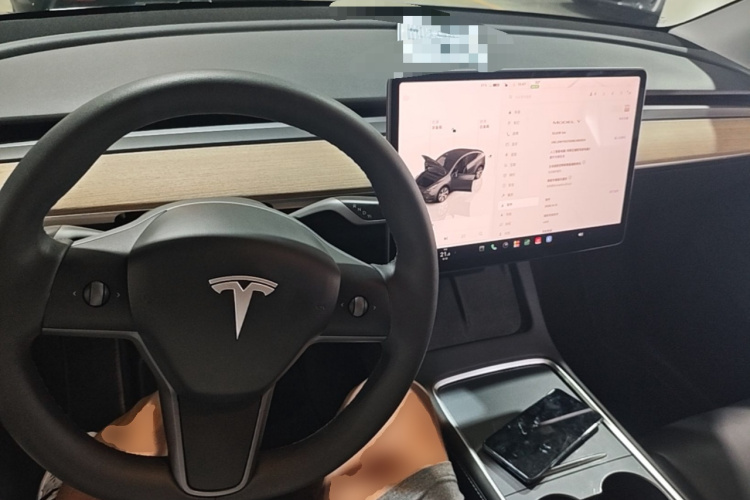 Tesla Model Y 2022 immagine di auto #10