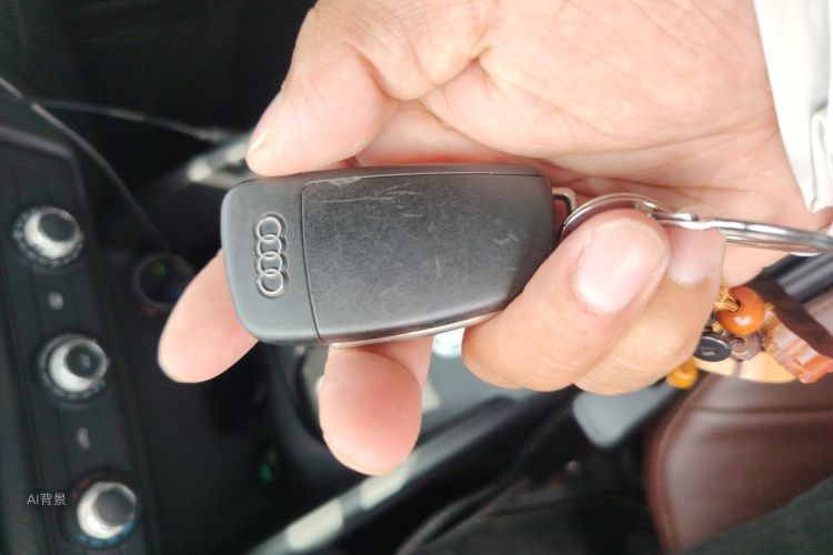 Audi A3 2016 car image #10