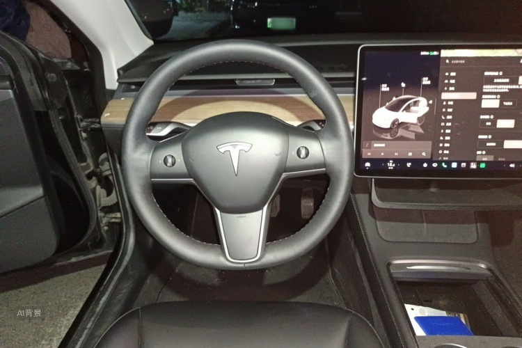 Tesla Model 3 2022 car image #12