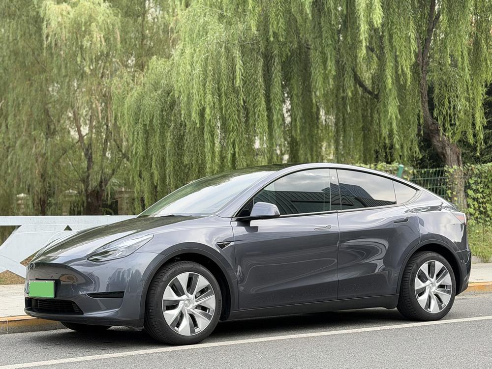Tesla Model Y 2022 Tesla Model Y 2022 car image
