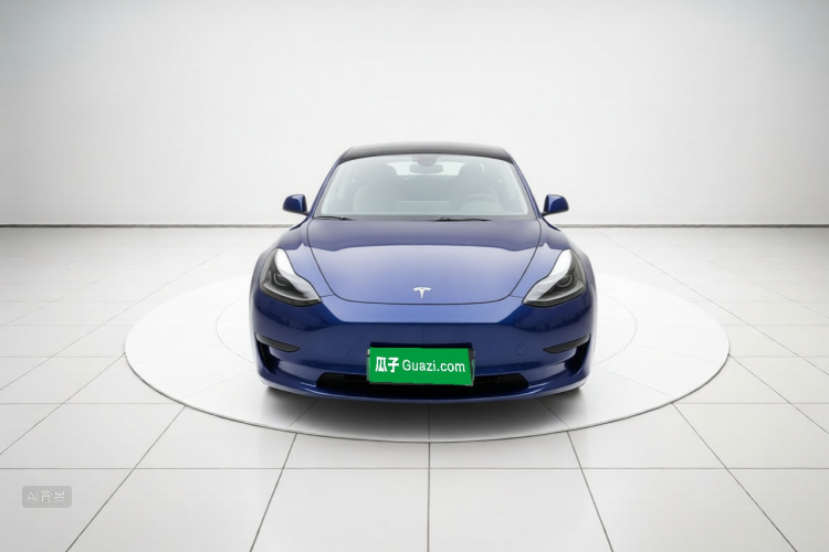 Tesla Model 3 2021 #3 Tesla Model 3 2021 car image #3