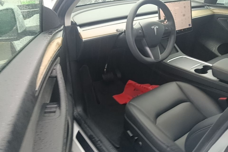 Tesla Model Y 2023 car image #16