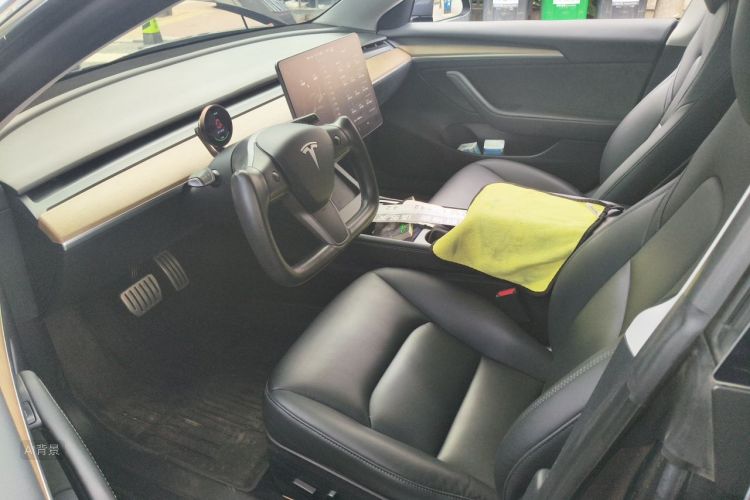 Tesla Model 3 2021 car image #17