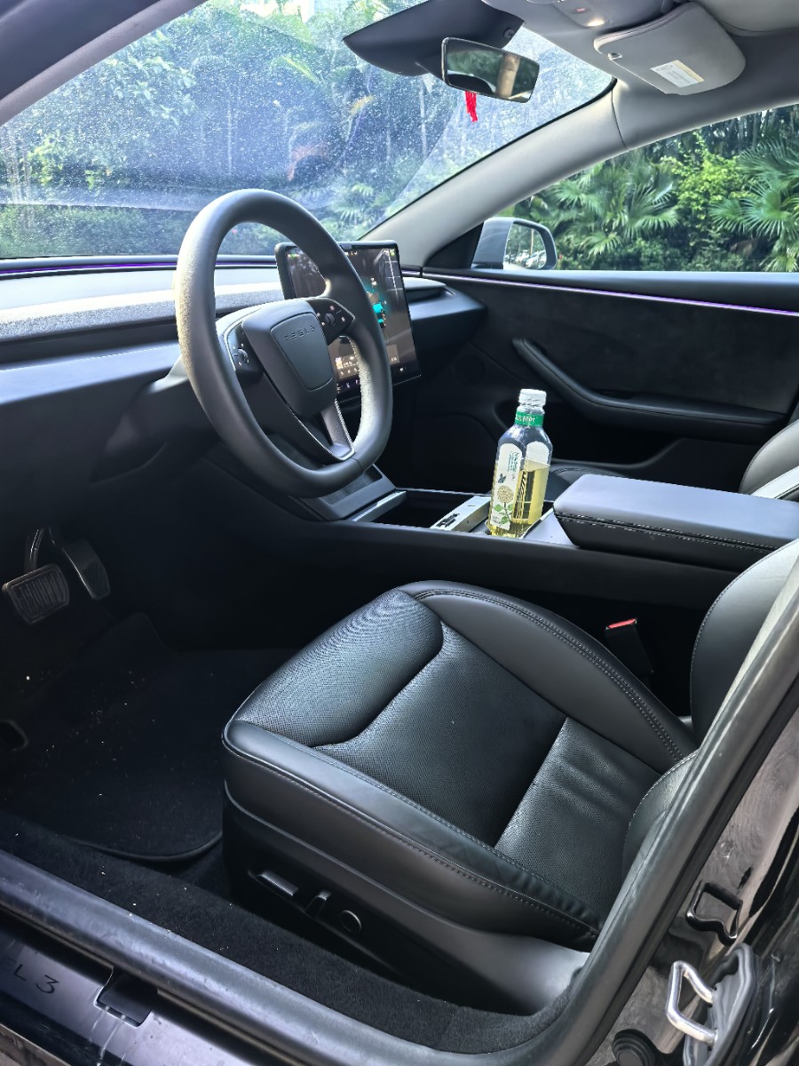 Tesla Model 3 2023 #6 Tesla Model 3 2023 car image #6