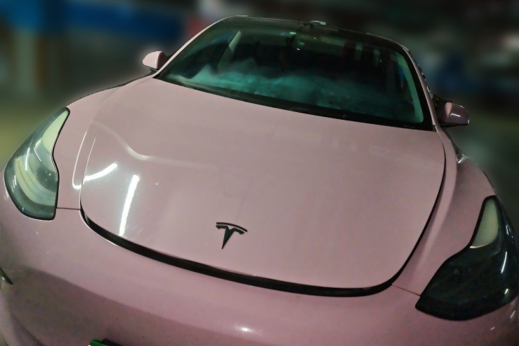 Tesla Model 3 2021 #3 Tesla Model 3 2021 car image #3