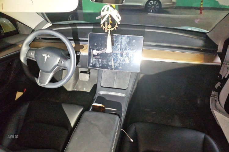 Tesla Model 3 2021 car image #11