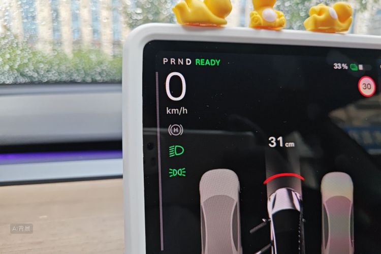 Tesla Model 3 2021 immagine di auto #13