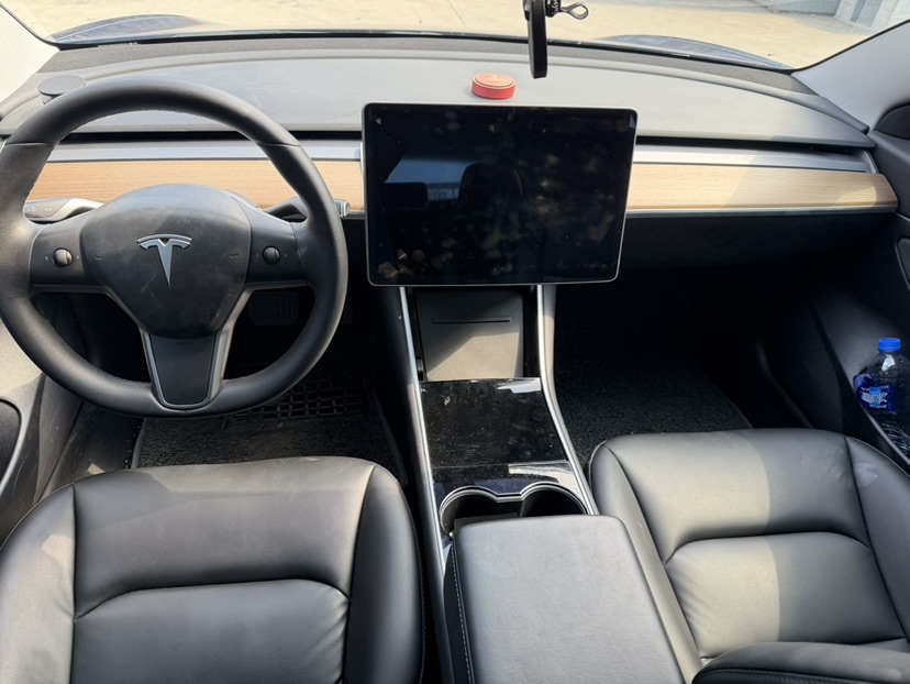 Tesla Model 3 2020 car image #6