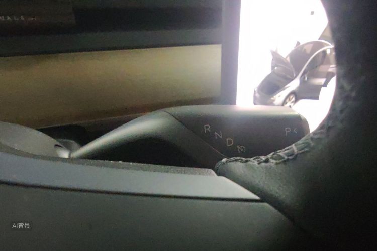 Tesla Model Y 2021 car image #16