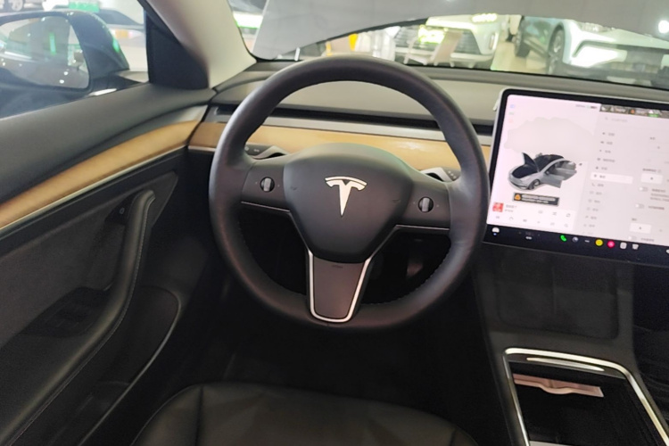 Tesla Model 3 2021 #15 Tesla Model 3 2021 car image #15