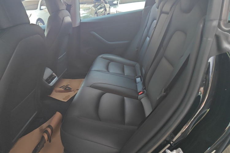 Tesla Model 3 2022 #17 Tesla Model 3 2022 car image #17