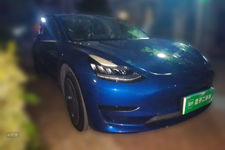 Tesla Model 3 2020 car image #4