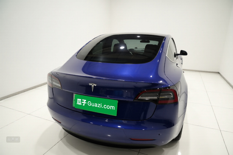 Tesla Model 3 2021 car image #6