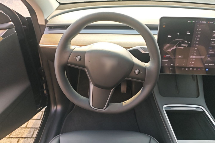 Tesla Model Y 2021 #15 Tesla Model Y 2021 car image #15