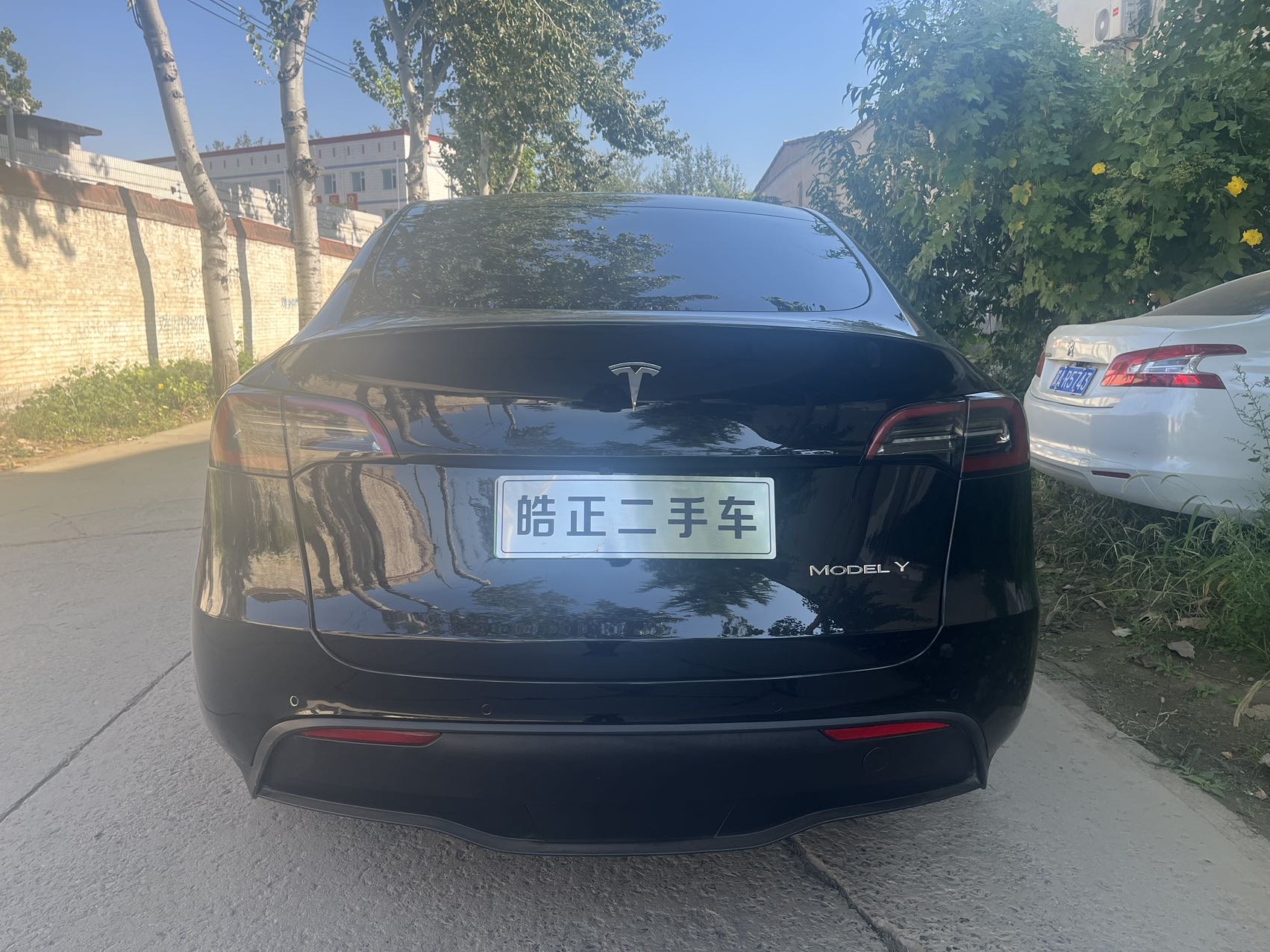 Tesla Model Y 2023 car image #6