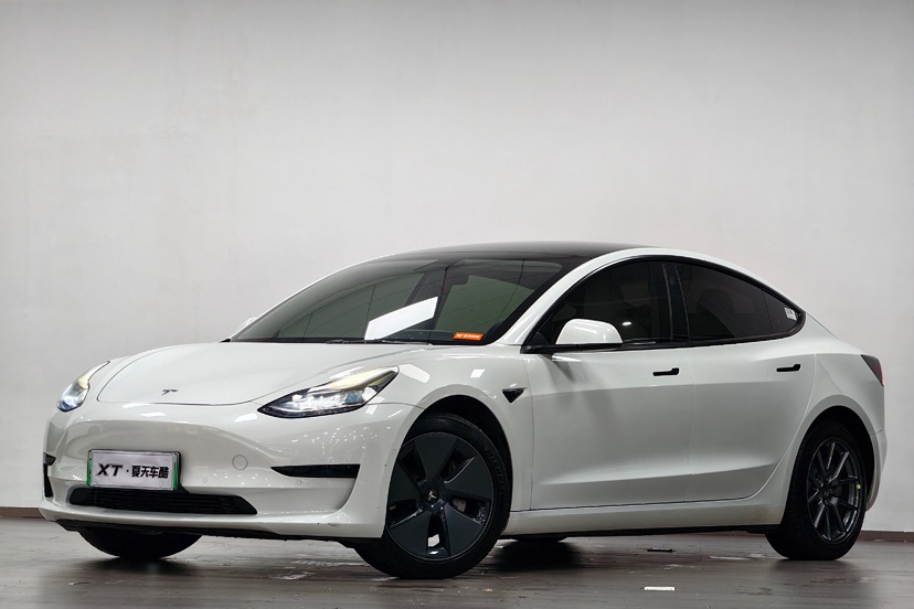Tesla Model 3 2021 car image 