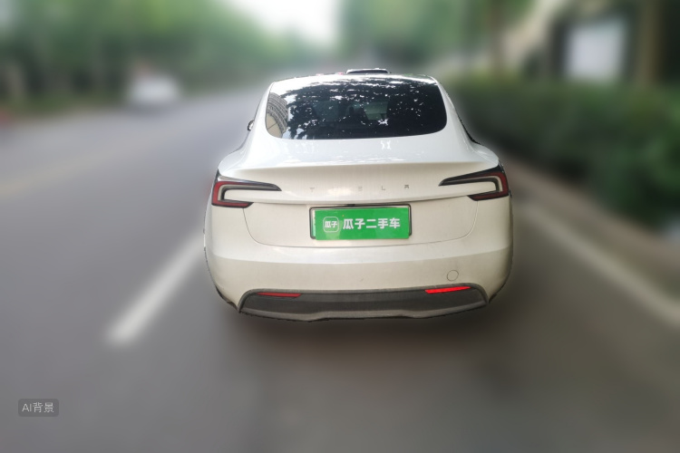 Tesla Model 3 2023 car image #6