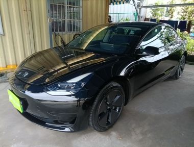 Tesla Model 3 2023 car image 