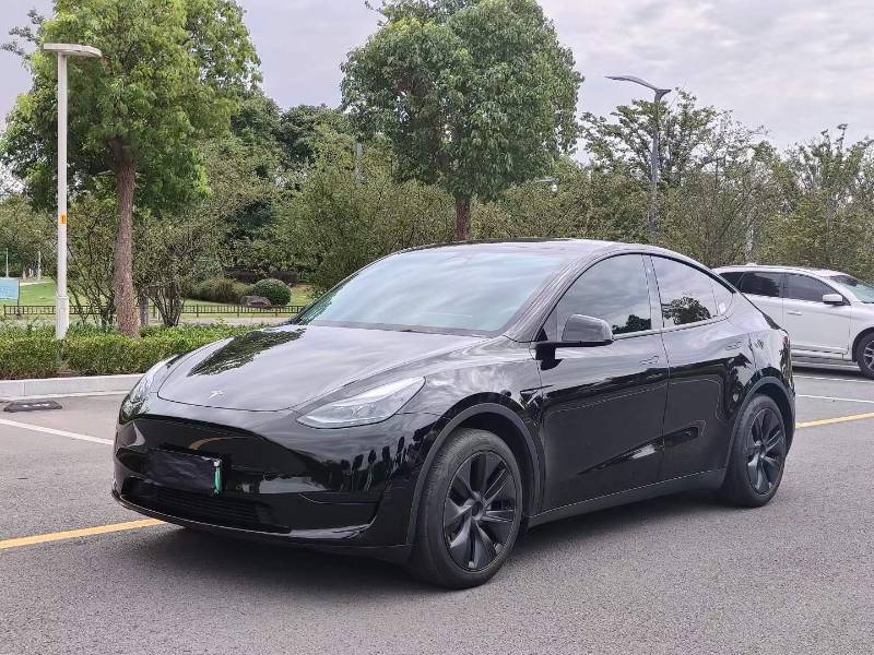 Tesla Model Y 2024 car image 