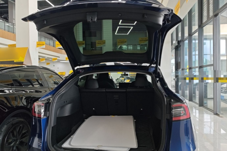 Tesla Model Y 2021 car image #19