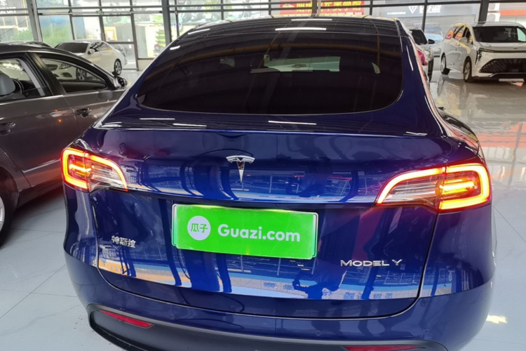 Tesla Model Y 2021 car image #4