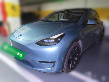 Tesla Model Y 2021 Tesla Model Y 2021 car image