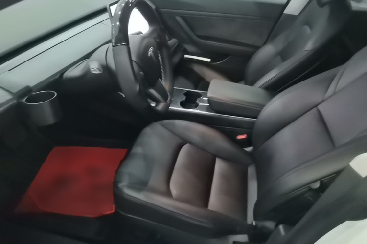 Tesla Model 3 2020 car image #15