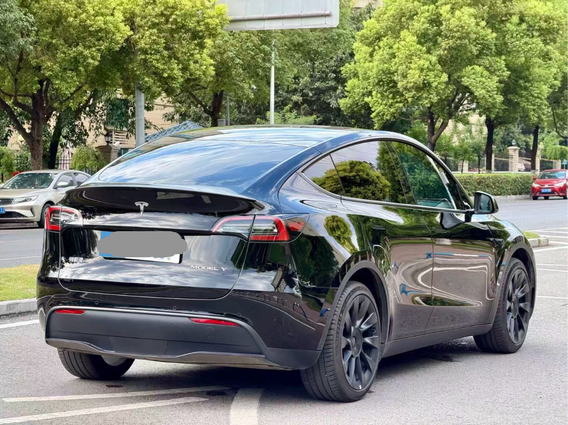 Tesla Model Y 2023 car image #6