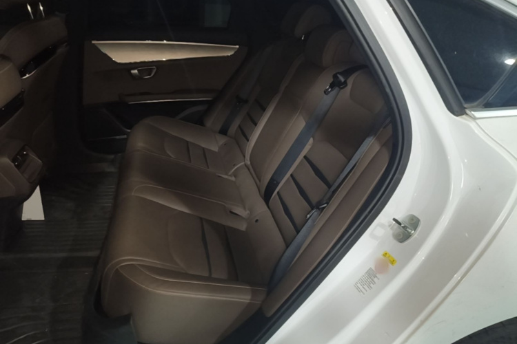 BYD Han 2021 car image #17