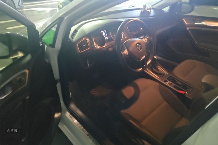 Volkswagen Golf 2019 car image #19
