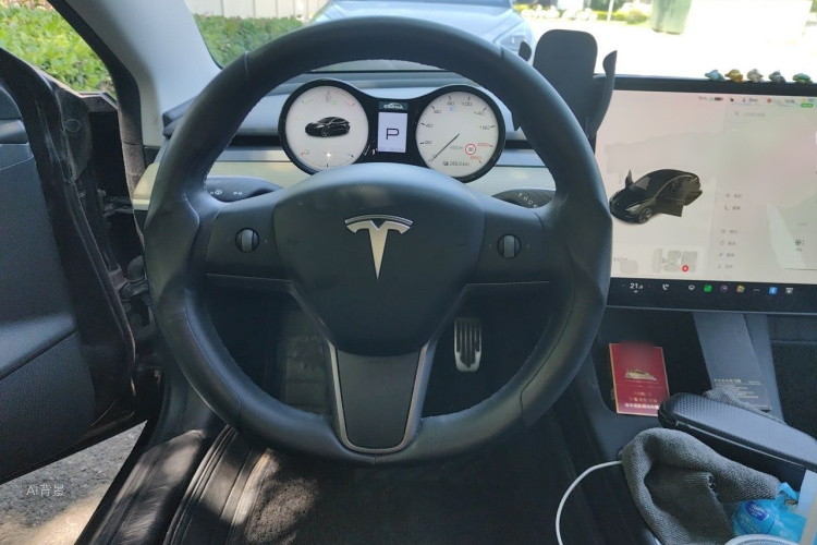 Tesla Model 3 2021 car image #12