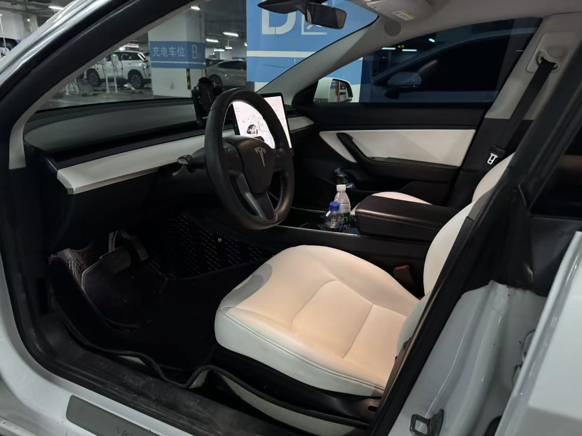 Tesla Model 3 2020 #3 Tesla Model 3 2020 immagine di auto #3