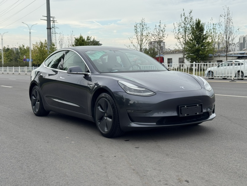 Tesla Model 3 2020 car image #3
