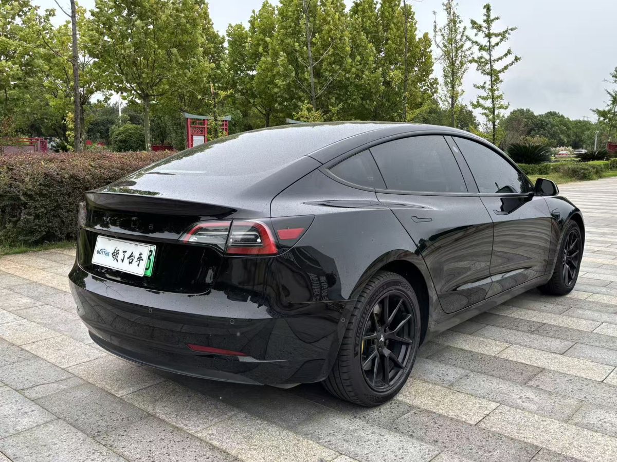 Tesla Model 3 2023 #5 Tesla Model 3 2023 car image #5