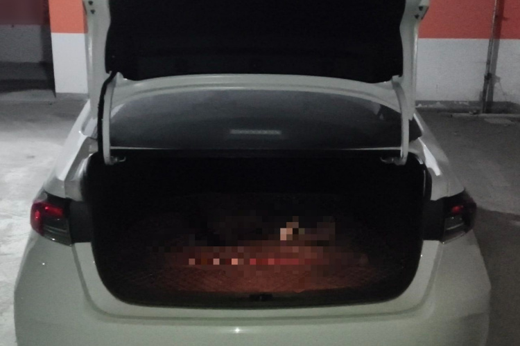 Toyota Corolla 2019 #17 Toyota Corolla 2019 car image #17