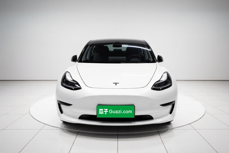 Tesla Model 3 2023 #3 Tesla Model 3 2023 car image #3