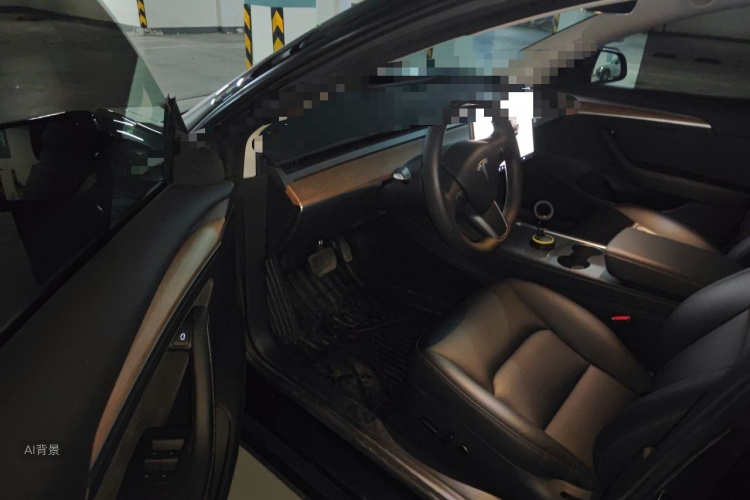 Tesla Model 3 2022 car image #18