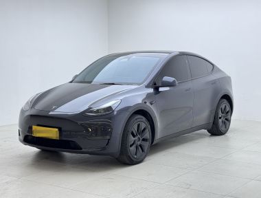Tesla Model Y 2024 car image 