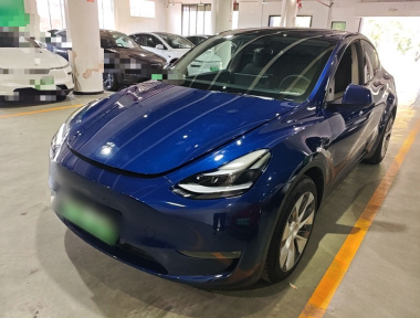 Tesla Model Y 2021 Tesla Model Y 2021 صورة سيارة