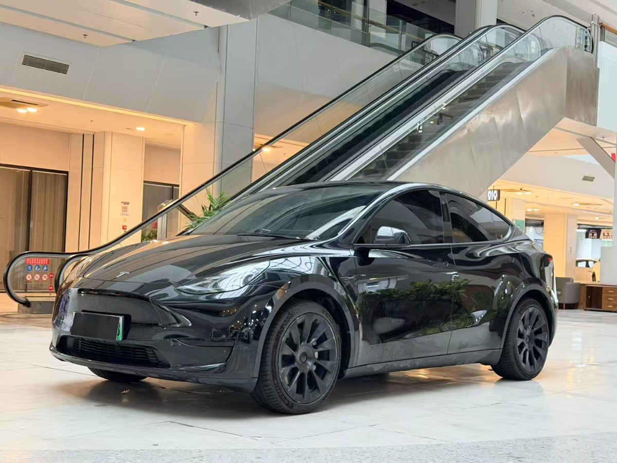 Tesla Model Y 2022 Tesla Model Y 2022 car image