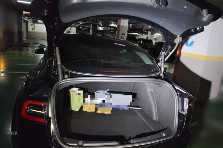 Tesla Model 3 2021 #21 Tesla Model 3 2021 car image #21