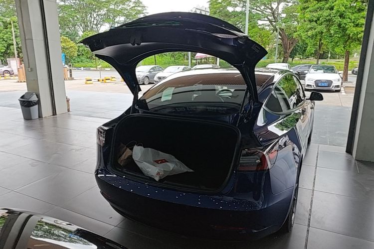 Tesla Model 3 2021 #21 Tesla Model 3 2021 car image #21