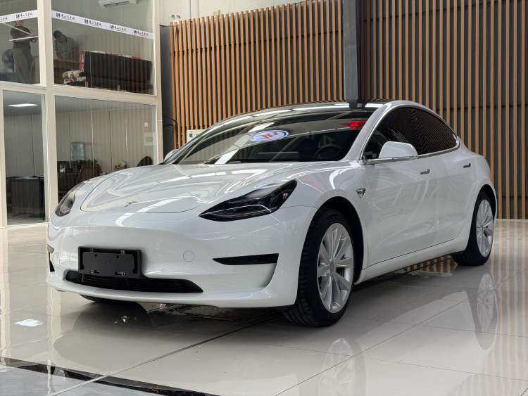 Tesla Model 3 2020 car image 