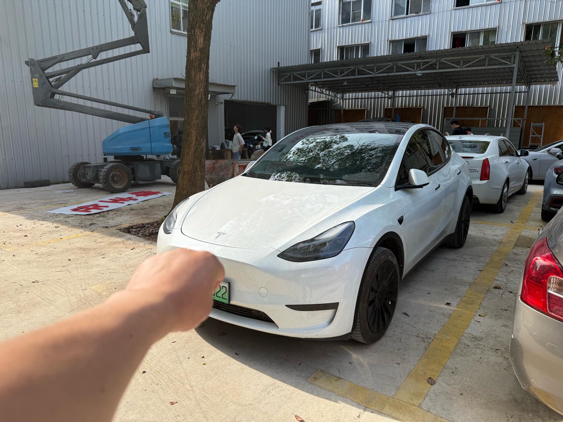 Tesla Model Y 2024 car image 