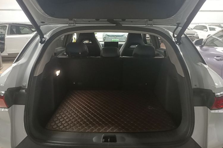 BYD Yuan Plus 2023 car image #19