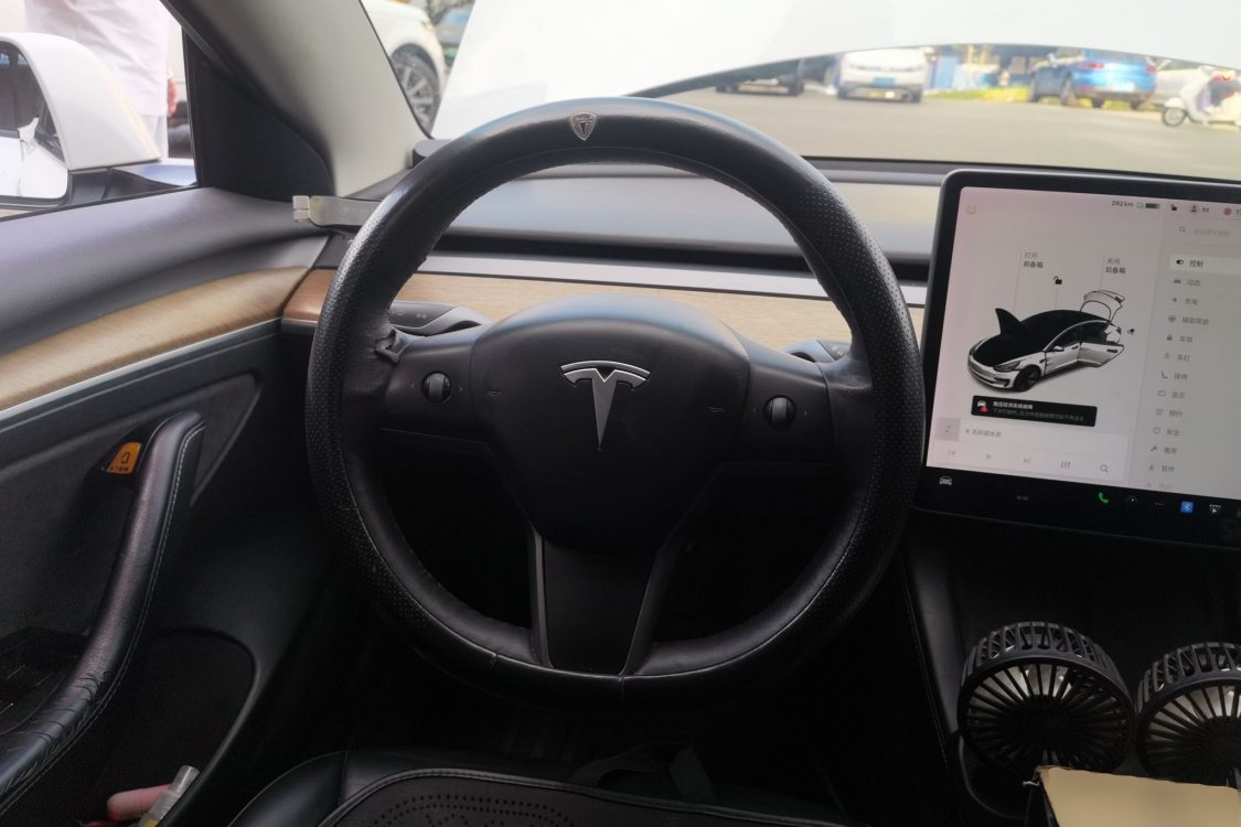Tesla Model 3 2021 car image #22