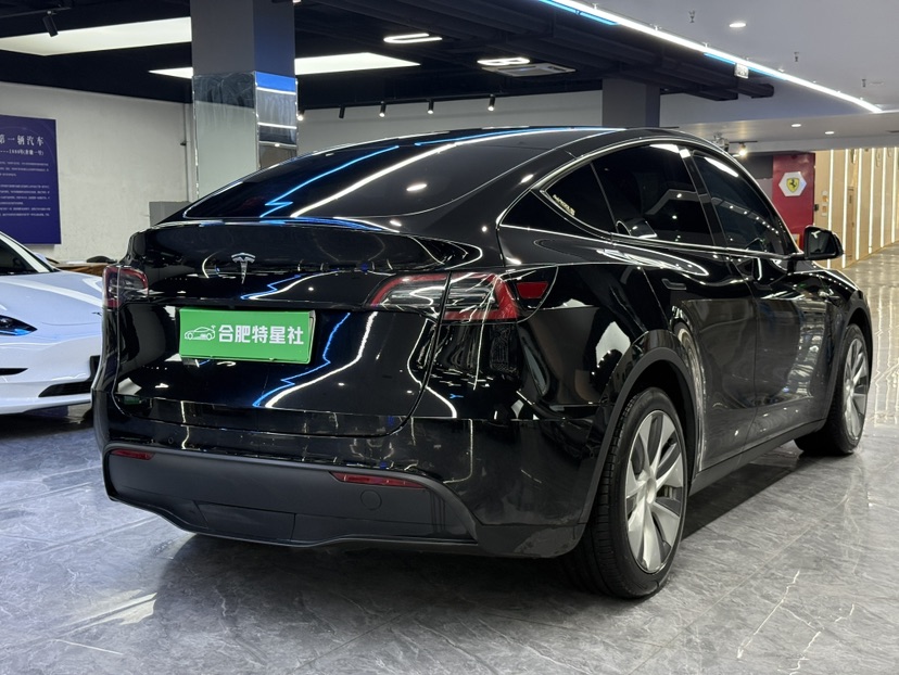 Tesla Model Y 2022 car image #9